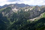 17_Feigenkopf_2130