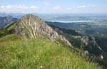 18_Feigenkopf_2132