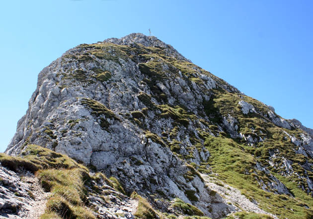 46_Gimpel_1055