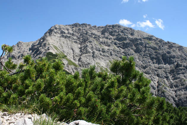 05_Kreuzspitze_7736