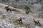 25_Lamsenspitze_5630+