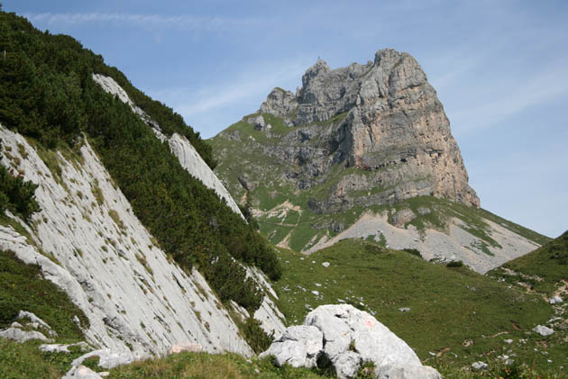 01_Rosskopf_2600