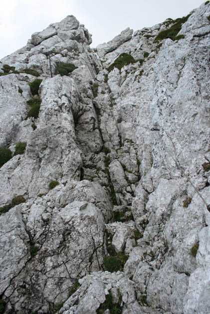 07_Scheffauer_2984