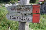 04_Scheffauer