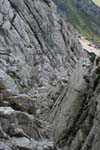 24_Scheffauer_2980