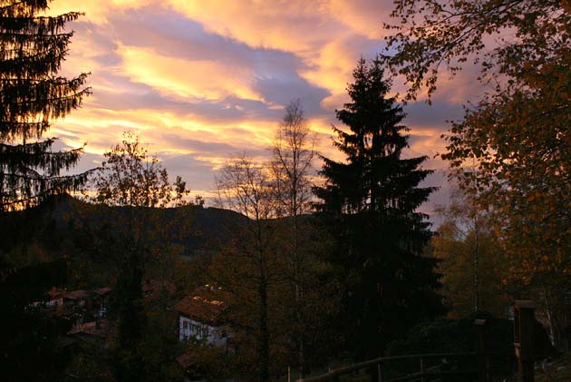 07_Birkenstein