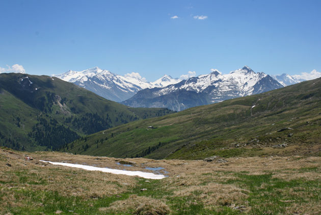 28_8254