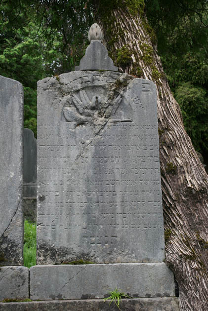14_JuedischerFriedhof_3953