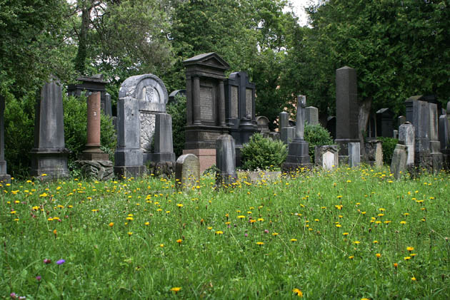 21_JuedischerFriedhof_3978