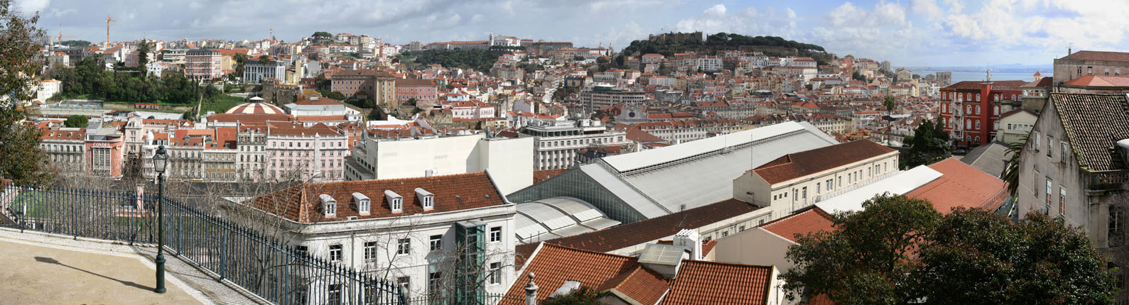 11_08_Mirodouro_Sao_Pedro_de_Alcantara_9443-52.jpg