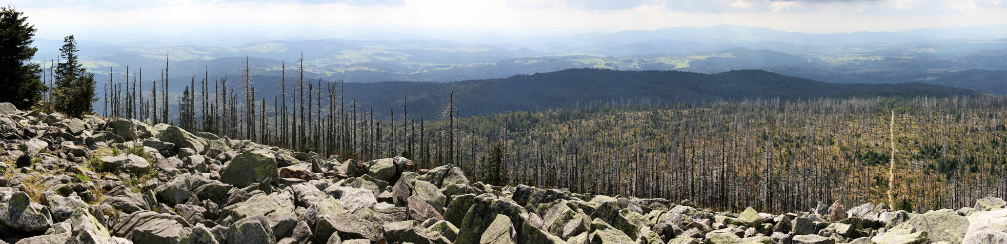 Panorama_Lusen.jpg