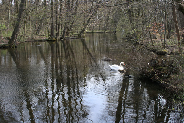 Nym_05_00_Park_08_1851