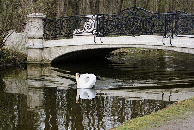 Nym_07_Park_11_Schwan_1892