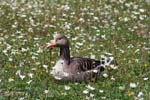 Nym_03_00_Park_03_0059