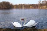 Nym_03_32_2533_bb