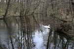 Nym_05_00_Park_08_1851
