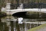 Nym_07_Park_11_Schwan_1892