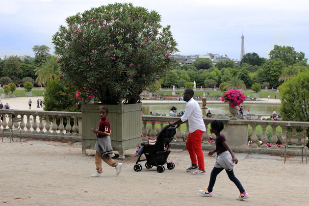 0_010_1520_Jardin_du_Luxembourg