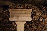 4_16_2457_Catacombes