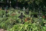 12_30_4646_Friedhof_Namenlose